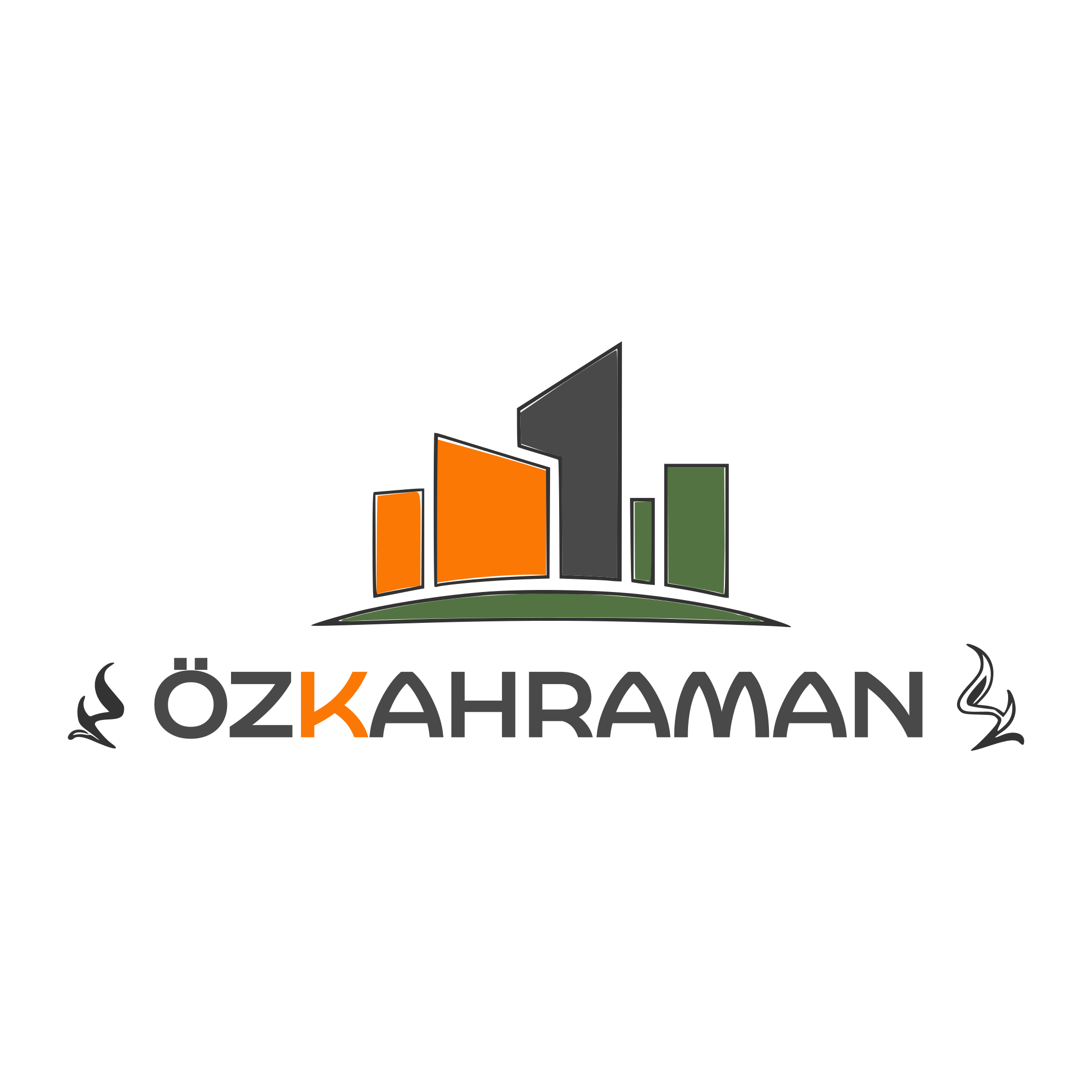 Display Image